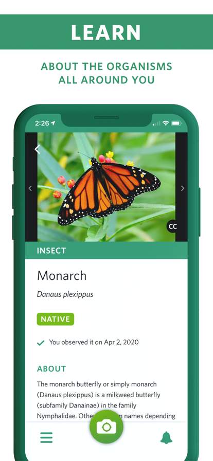 Seek by iNaturalist