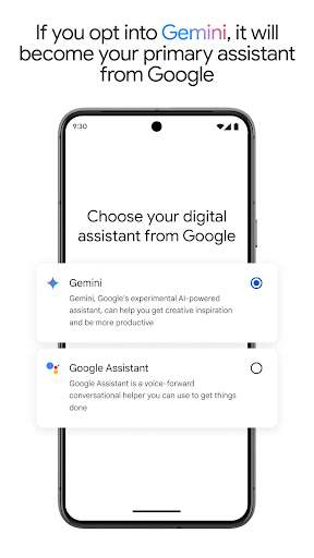 Google Gemini