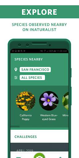 Seek by iNaturalist