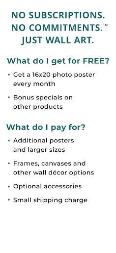 FreePrints Photo Art