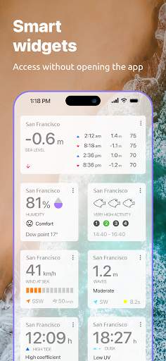 Nautide: Tides, Wind, Waves +