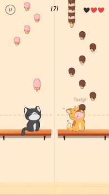 Duet Cats: Cute Popcat Music